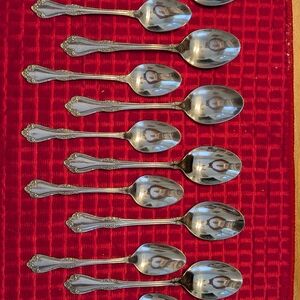 Elegant Silver Spoon Set